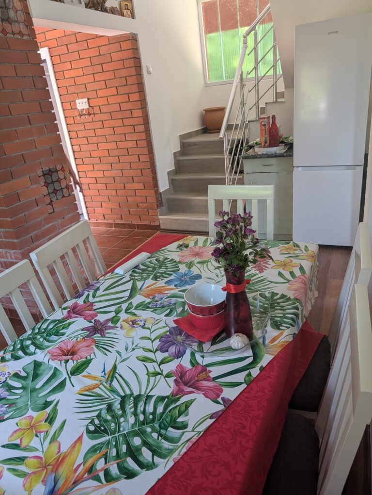 trpezarija + frižider apartmana 1